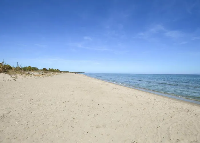 Maison Piscine Hébergement de vacances